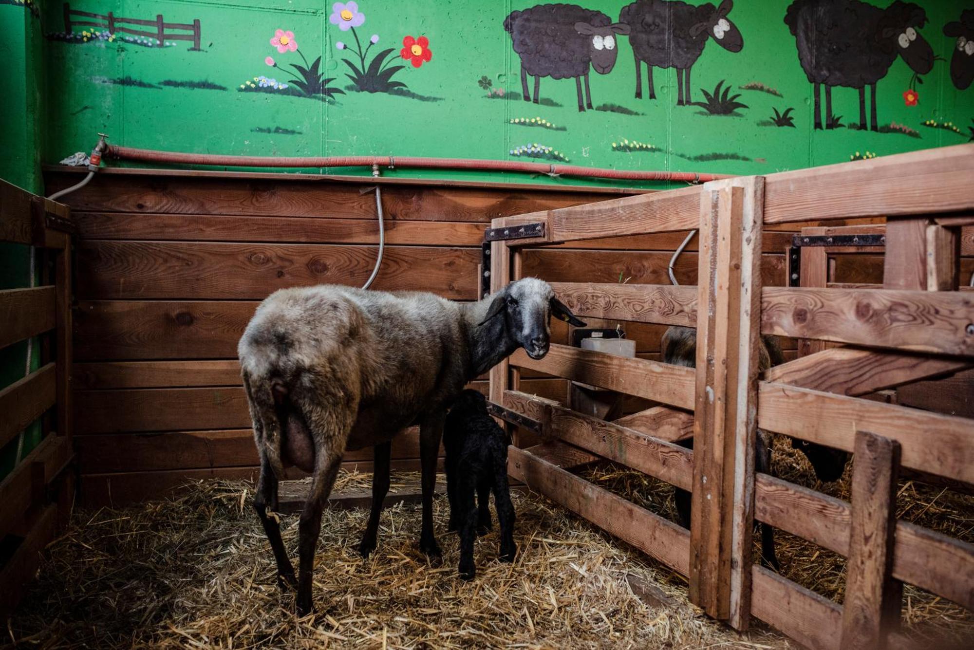 Beim Untertimmeltaler Matrei in Osttirol Exterior foto